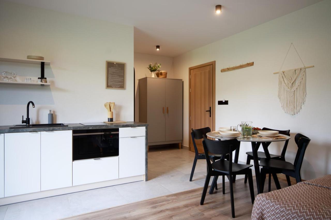 Hill House Apartamenty Białka Tatrzańska Kültér fotó