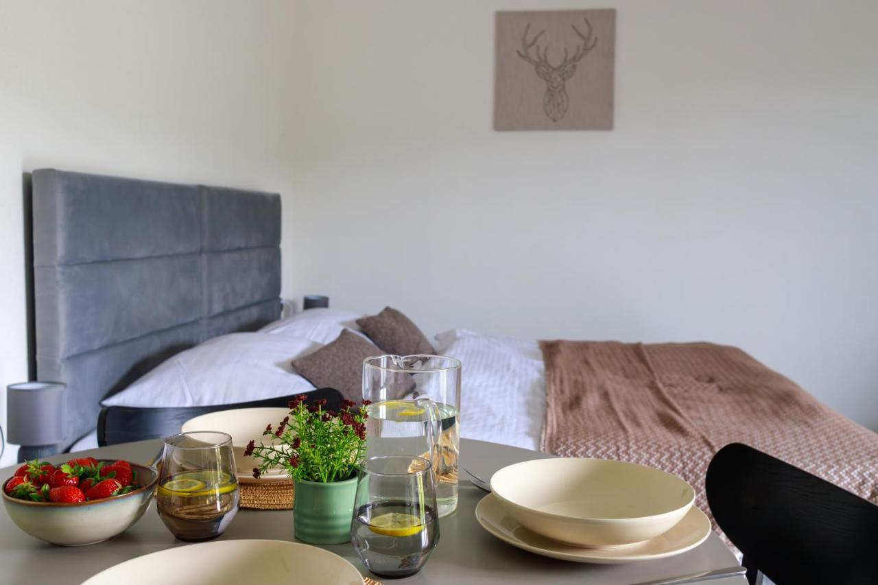 Hill House Apartamenty Białka Tatrzańska Kültér fotó