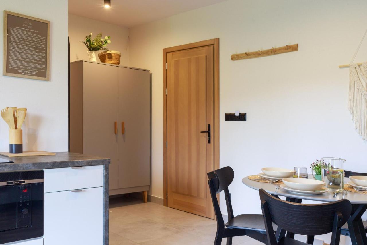 Hill House Apartamenty Białka Tatrzańska Kültér fotó